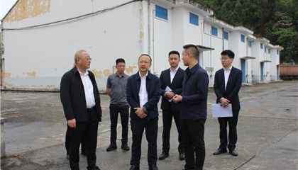 市國資委調研督導興業(yè)集團經營管理工作