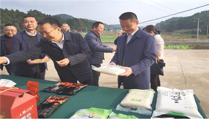 市委常委、政法委書記劉波濤帶隊(duì)調(diào)研指導(dǎo)定點(diǎn)幫扶村鄉(xiāng)村振興工作